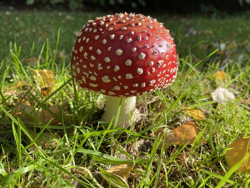 Any Witches Here?- Part 17.