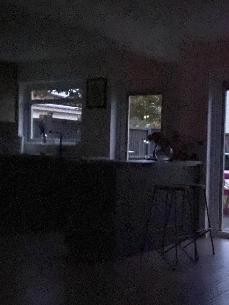 Friendship and Falling Leaves, Frugal Autumn Continued