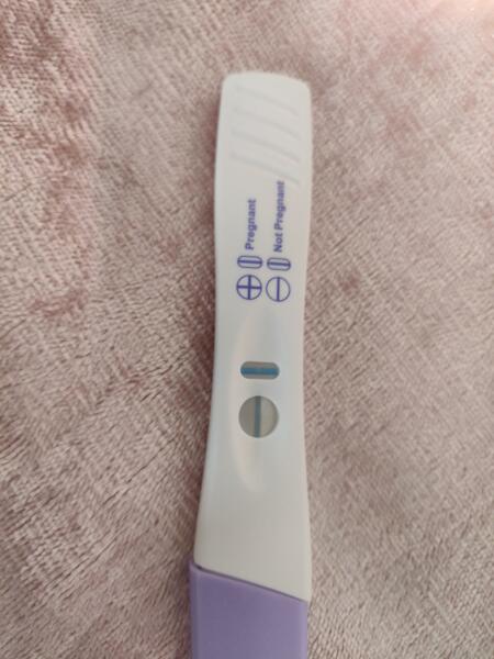 Pregnancy Test