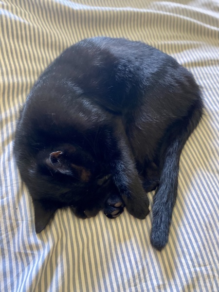 Lost my boy today