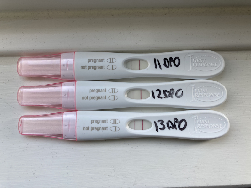 June 2023 Babies 🌞
