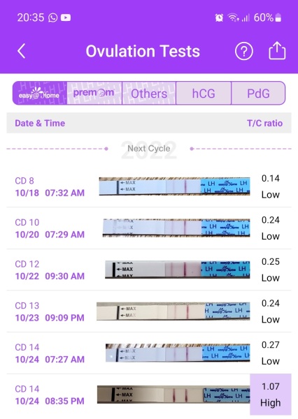TTC chat thread 4