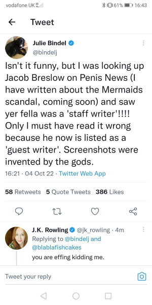 Mermaids being investigated by the charity commission