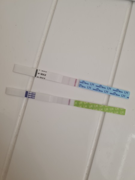 Pos OPK at CD6 now neg at CD9. Have i missed my window??
