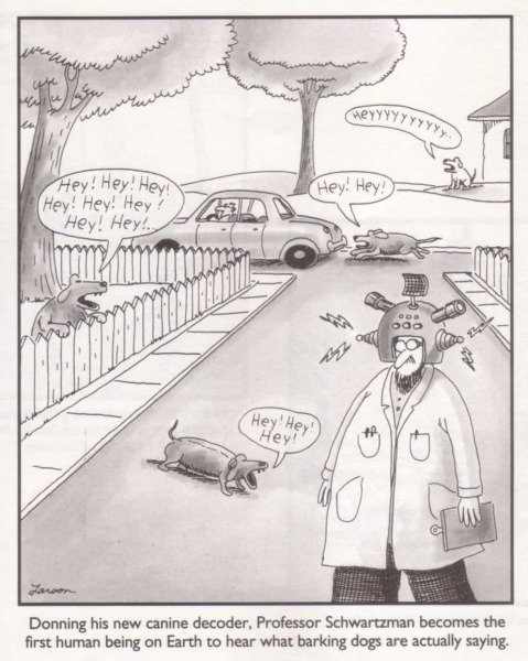 To think people wouldn’t like dogs if they could talk