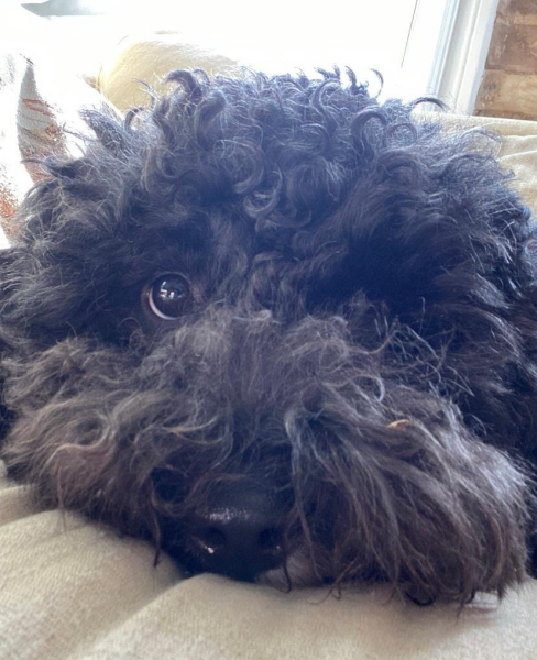 The freedom thread ( continued ) Riding the rollercoaster of an alcohol free life! Alcohol support for those wanting to give up drinking