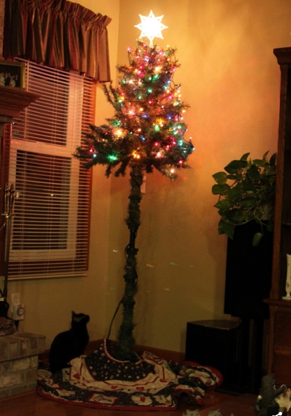 Xmas tree Vs. The cat