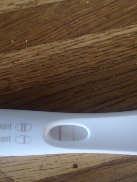 June 2023 Babies 🌞