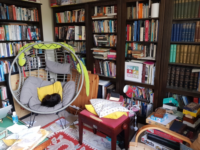 Living room bookshelves
