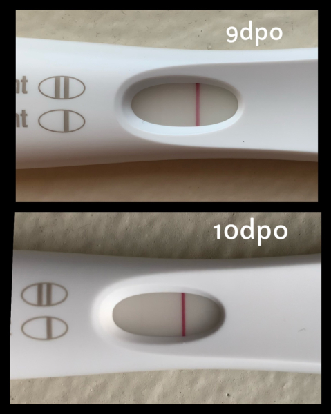 10dpo darker line? More in comments