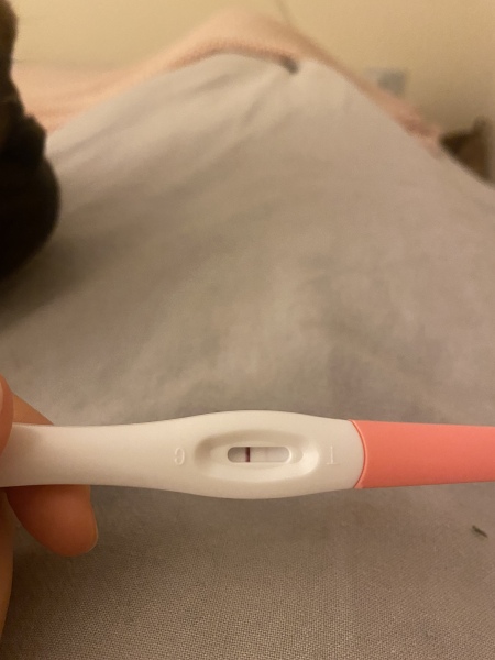 17dpo faint bfp WeWell tests