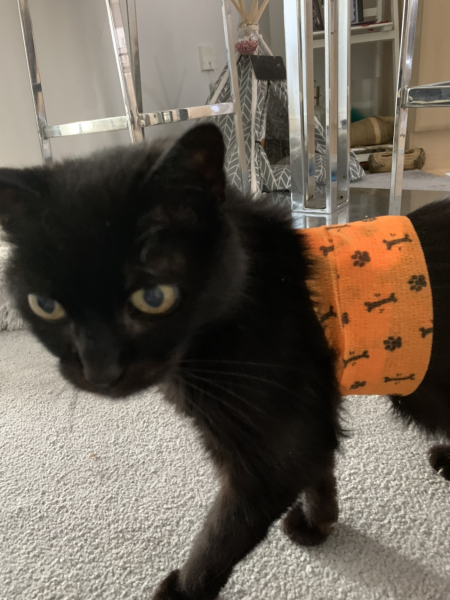 Bright ideas for a wound?