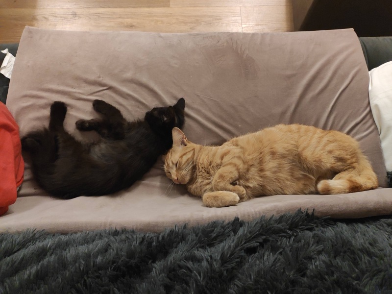 Ollie, Prince, Leroy, Walter and Co...