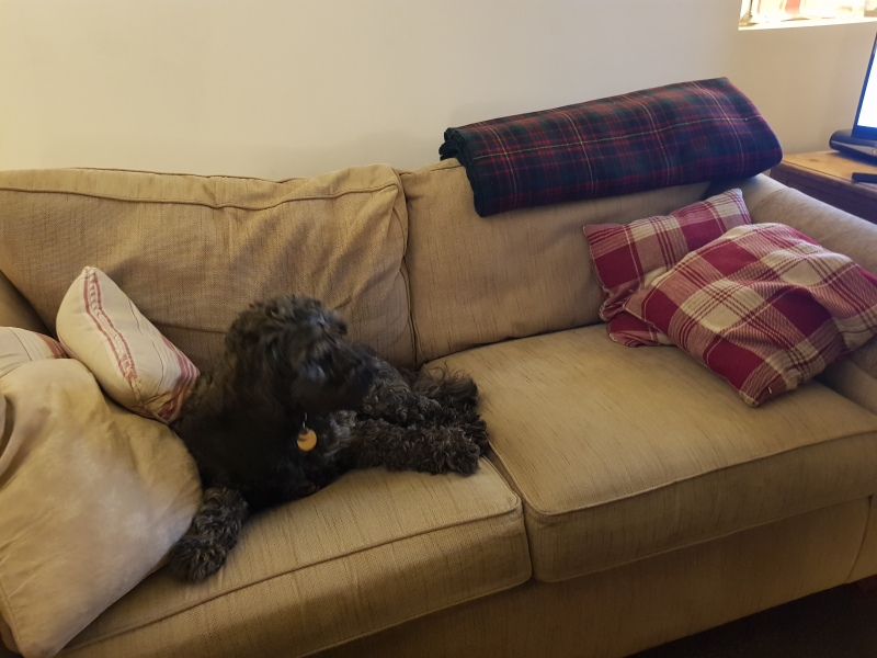 £410 for a second (or third) hand, badly stained sofa