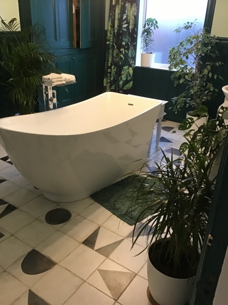 Plants in my bathroom