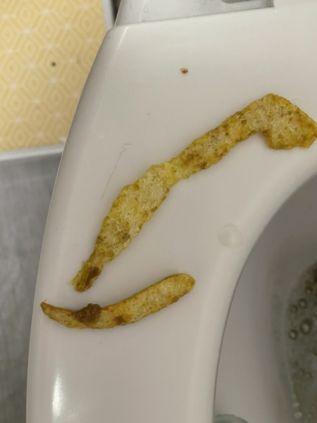 Can anyone tell me what this is?  Warning Pics on post 
