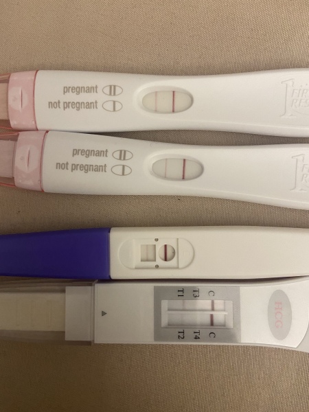 IVF / PGD / PGT-A/ PGT-M July 2022 Cycles