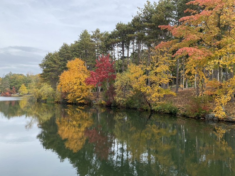 Come and tell me your dull and unexciting news 23: Calmly through the day 