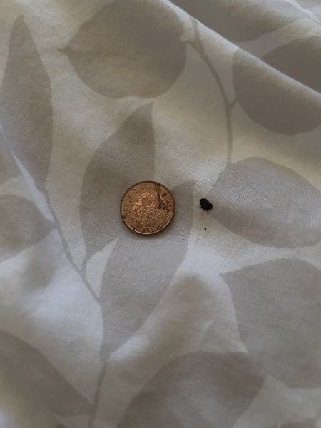Help! What could this be on my bedding? 