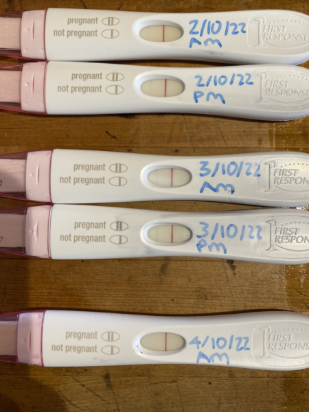Pregnant, still breastfeeding, no period...could it end up a chemical?