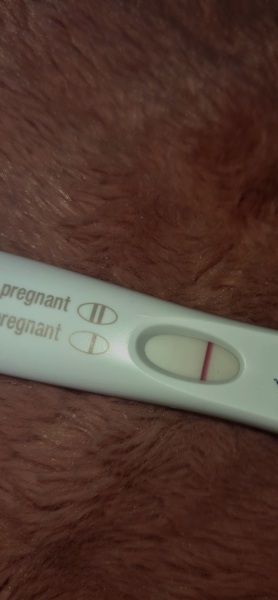 Test at 11dpo