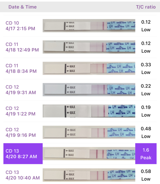 Help me understand my LH tests please