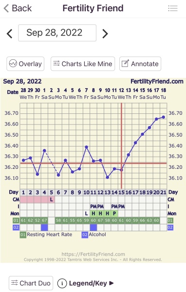 BBT Chart help. 🆘 