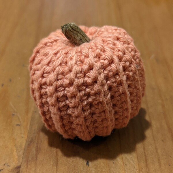 It's Crochet,  Knit & Natter 9: So Many Projects, So Little Time. (Oh well - I almost made it rhyme!)