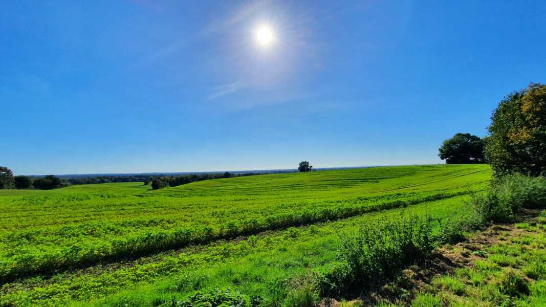 Come and tell me your dull and unexciting news 23: Calmly through the day 