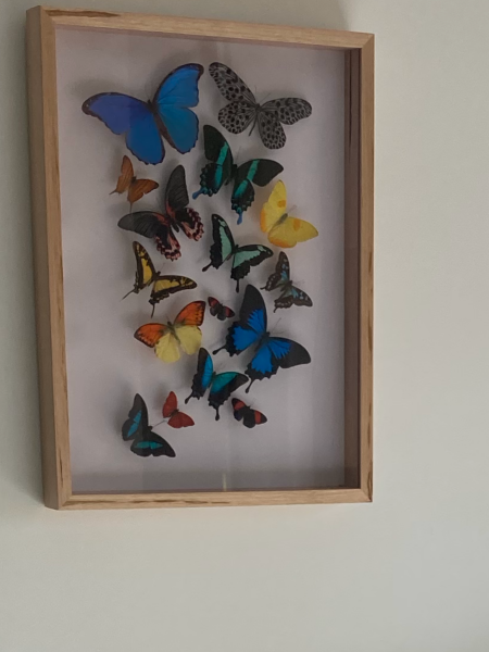 What do you have on the wall above your bed?