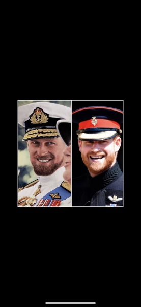 To be annoyed at Prince Harry's memoir title SPARE
