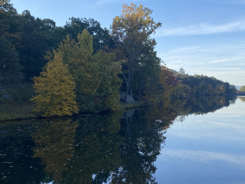 Come and tell me your dull and unexciting news 23: Calmly through the day 