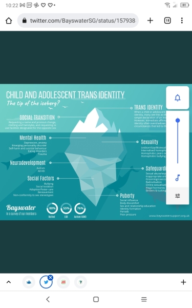 Trans guidance for schools - "that British fudge that so often works"