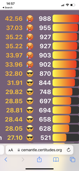 Love Semantle? Try Cemantle! Thread 7
