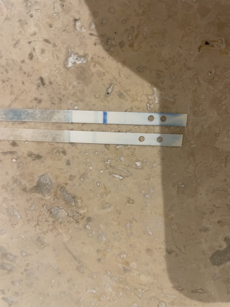 Clear blue digital question 