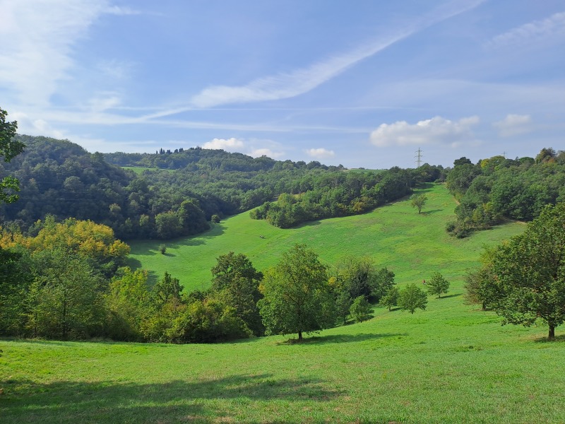 Come chat hiking with me!