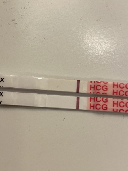 Faint BFP at 16dpo/ CD33??