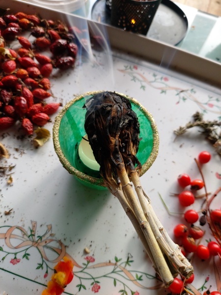 Any Witches Here?- Part 17.