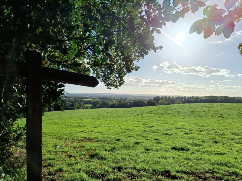 Come chat hiking with me!