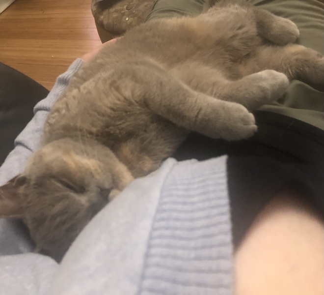 Show me your pussy