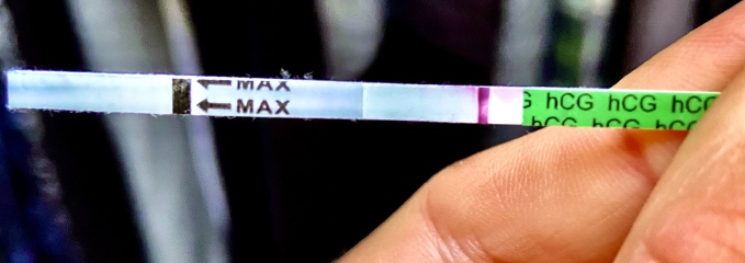 Possible chemical pregnancy or miscarriage? Faint line on test