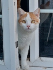 Brexit mega thread : part 9 : Winter is Coming