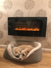 Can we please see pictures of your fireplaces and log burners ?