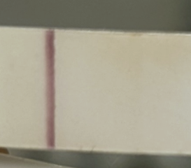 4/4 evaps on FRERS