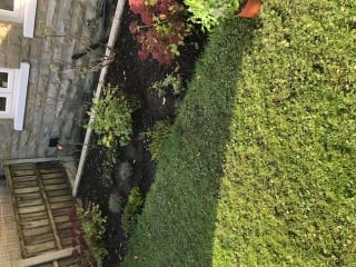 Border help needed 