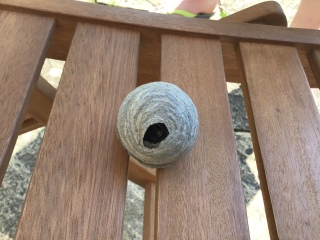 Is something going to hatch from this and kill us in our sleep?