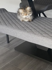 Please find me a name