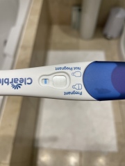 Clear blue digital question 