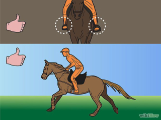 Comfortable cantering 