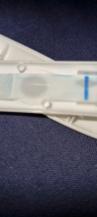 Clear blue tests 